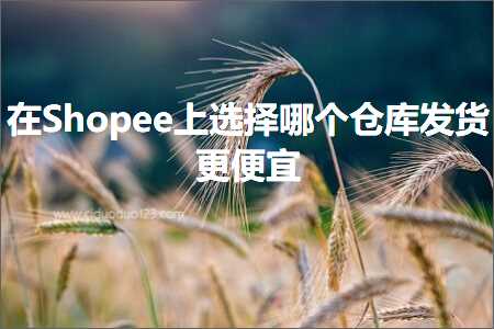 跨境电商知识:在Shopee上选择哪个仓库发货更便宜